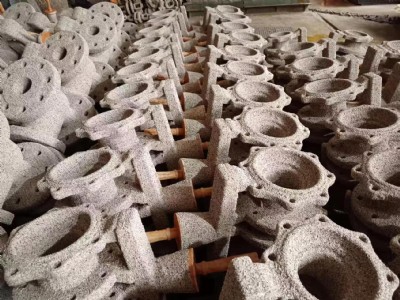 蜡膜（膜壳） (2)