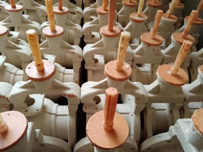 蜡膜（膜壳） (1)