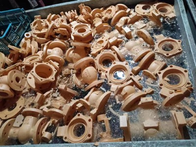 蜡膜（膜壳） (5)