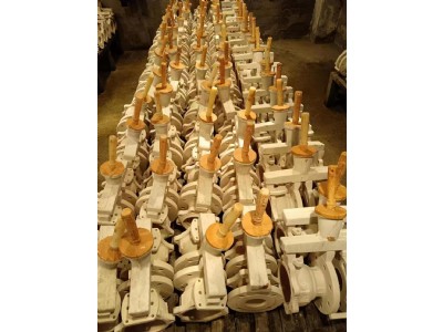 蜡膜（膜壳） (7)