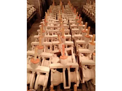 蜡膜（膜壳） (6)